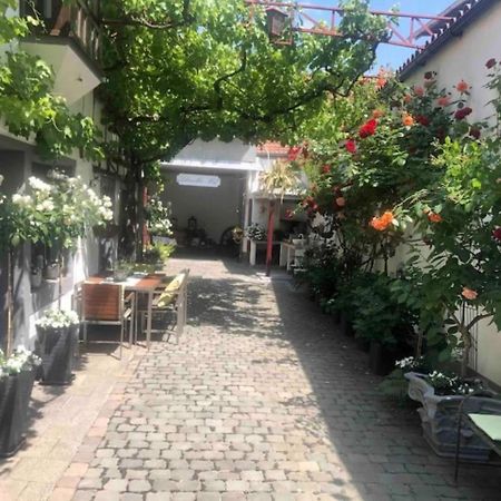 Ferienwohnung Im 'Schmoller - Hof' นอยชตัดท์ อัน แดร์ ไวน์ชตราเซอ ภายนอก รูปภาพ